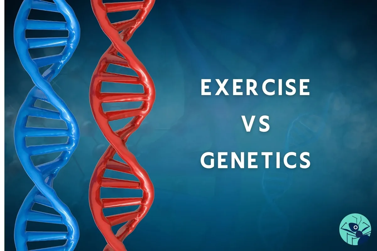How Exercise Changes your Body, Mind And… Genetics?