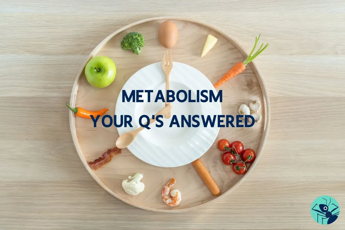 Is your Metabolism Actually Slow?
