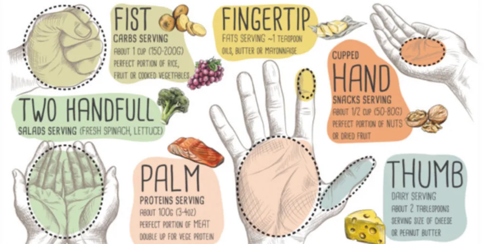 Hand portion guide: fist for carbs, palm for protein, cupped hand for snacks, thumb for dairy, fingertip for fats, two handfuls for salad