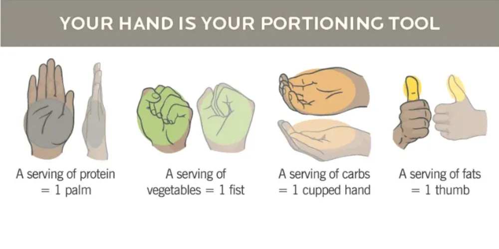 Your hand is your portioning tool: a serving of protein is one palm, vegetables one fist, carbs one cupped hand, fats one thumb
